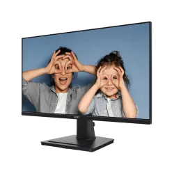 MSI PRO MP251 24.5" 100Hz FHD Monitor